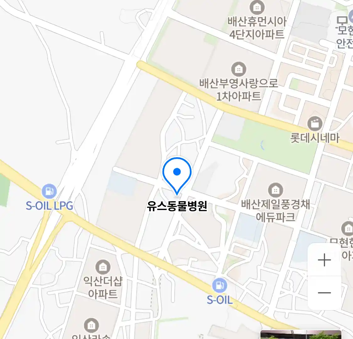 유스동물병원