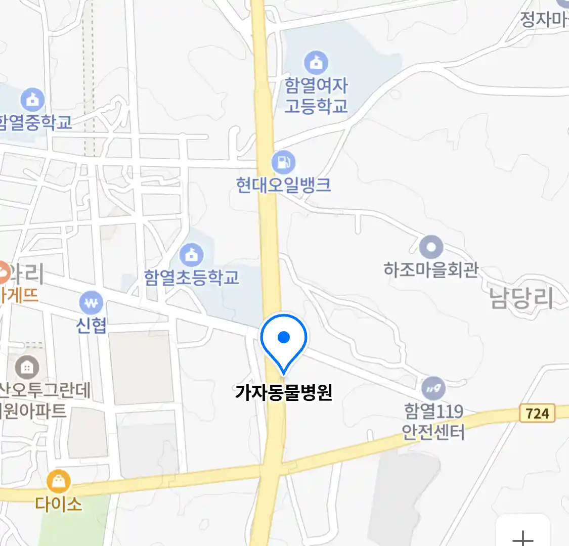 가자동물병원