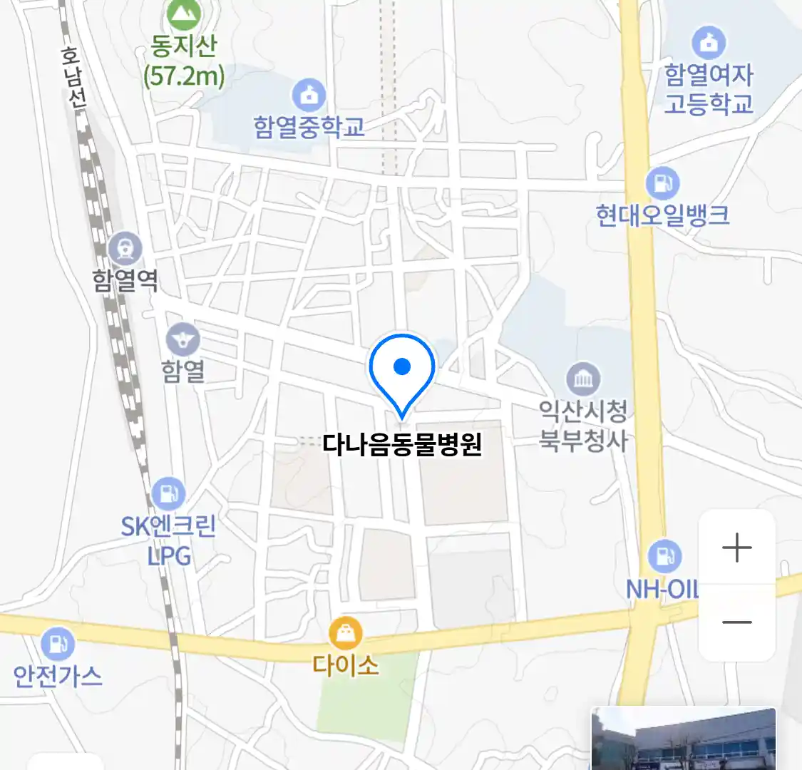 다나음동물병원