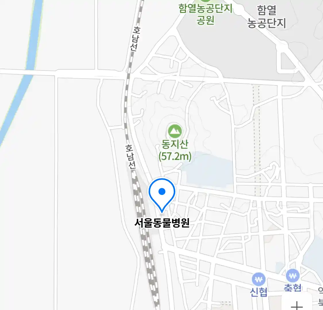 서울동물병원