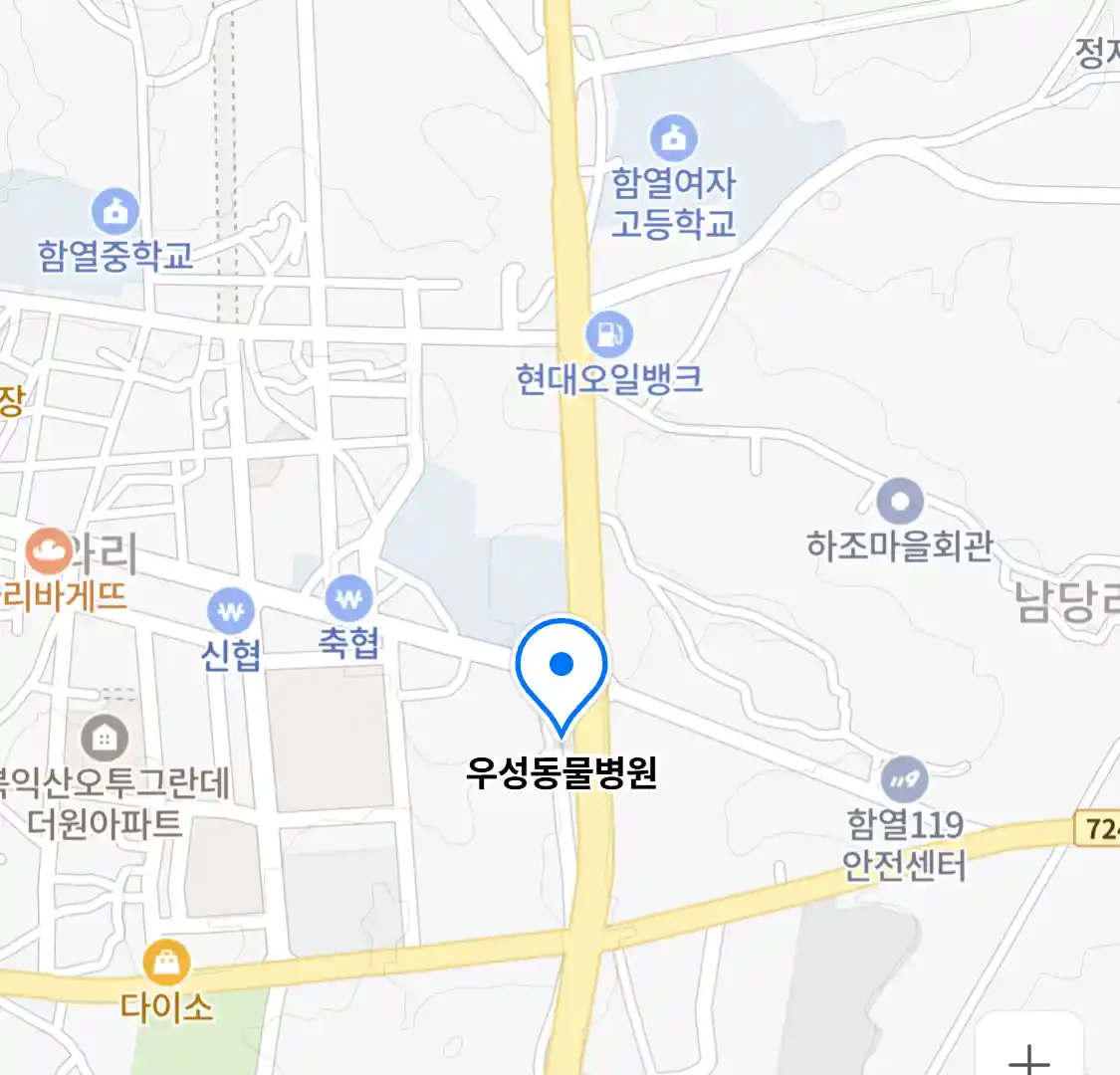 우성동물병원