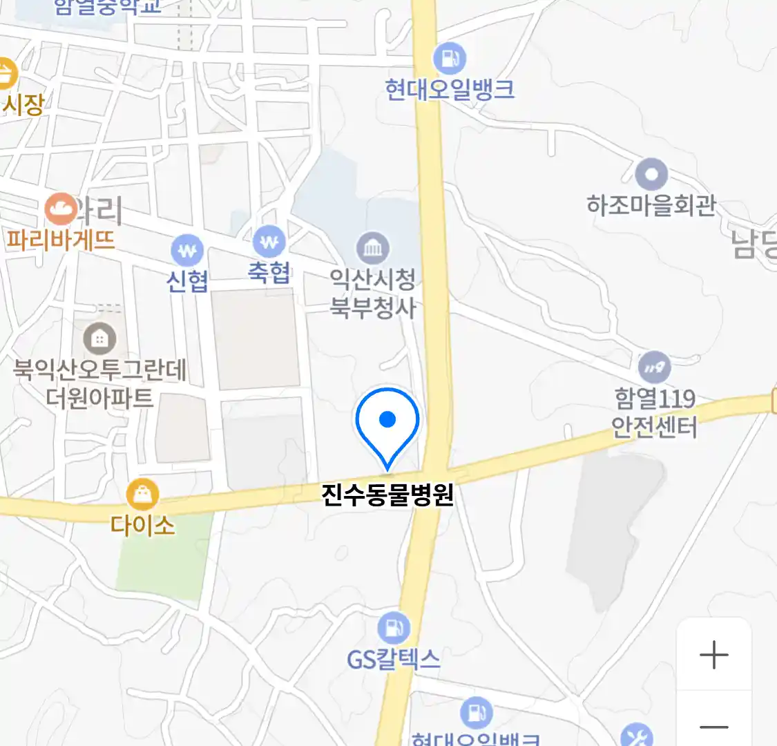 진수동물병원