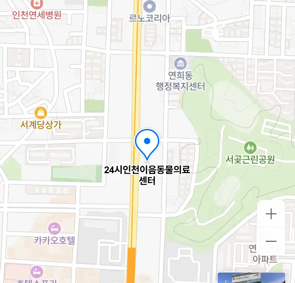 24시인천이음동물의료센터