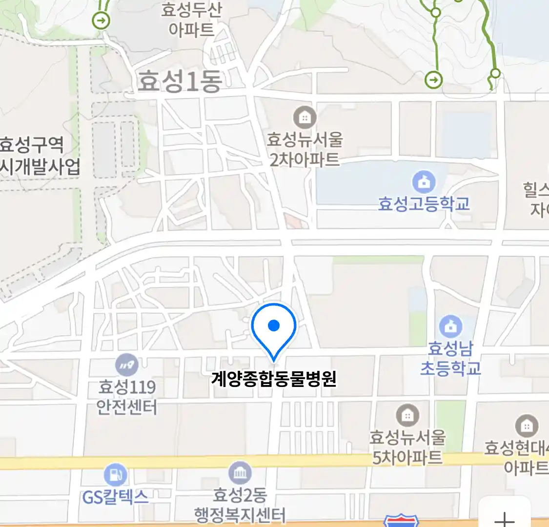 계양종합동물병원