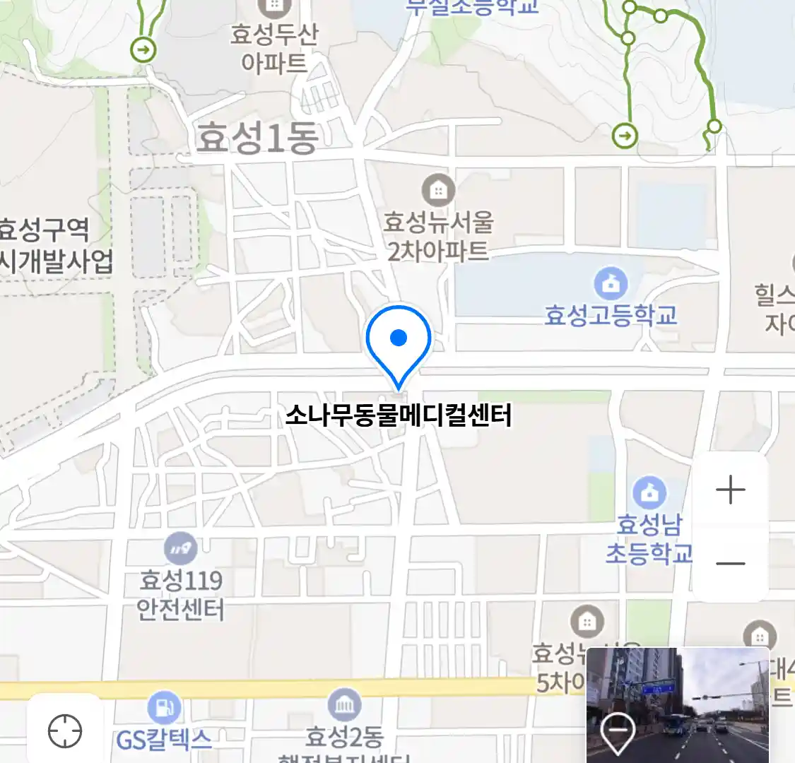 소나무동물메디컬센터