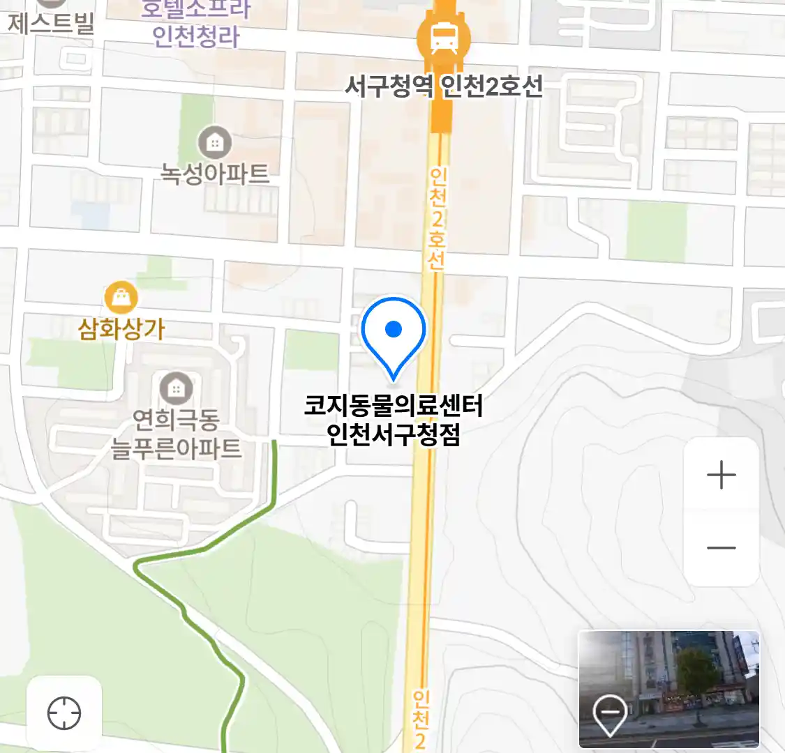 코지동물의료센터 인천서구청점