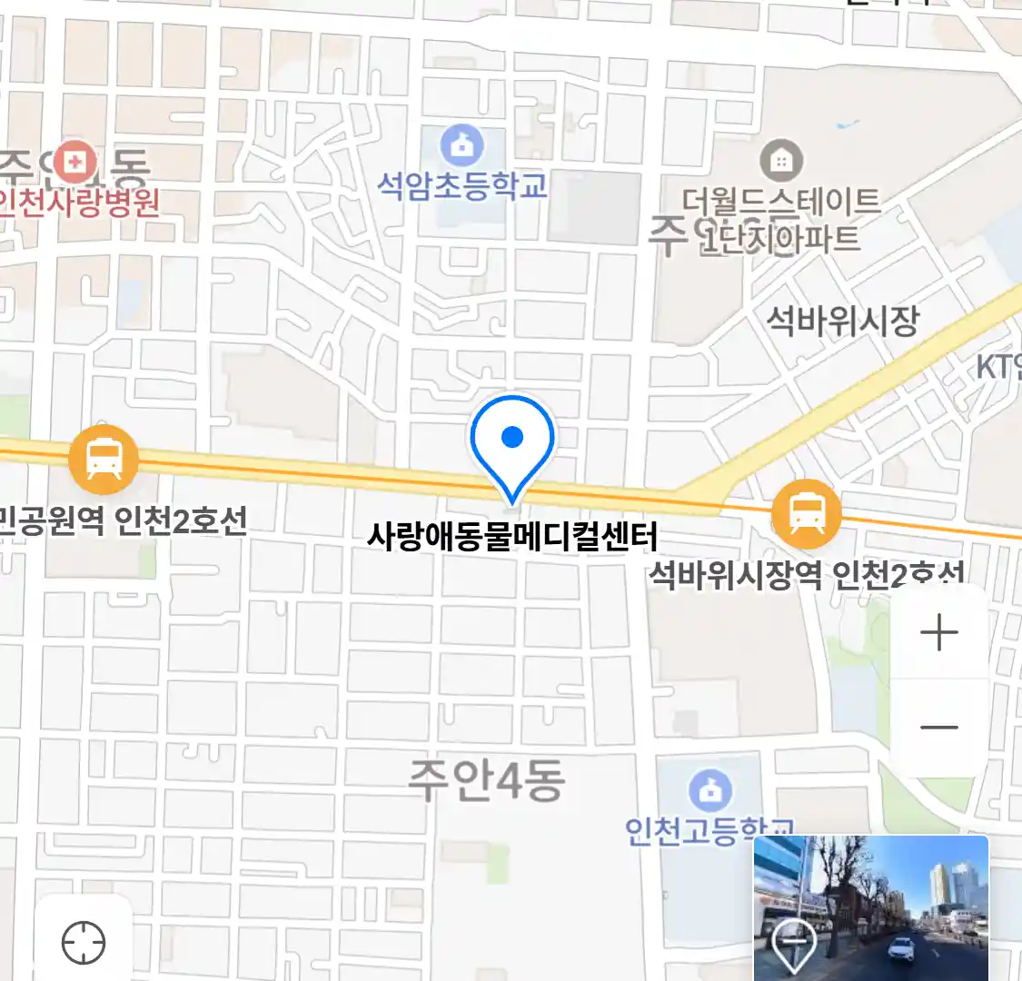 사랑애동물메디컬센터