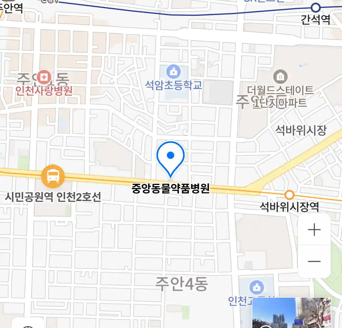 중앙동물약품병원