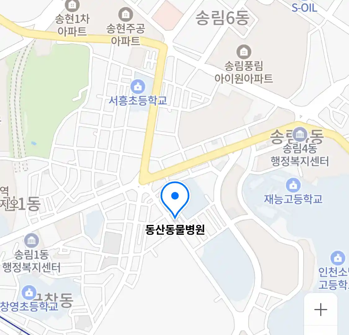 동산동물병원