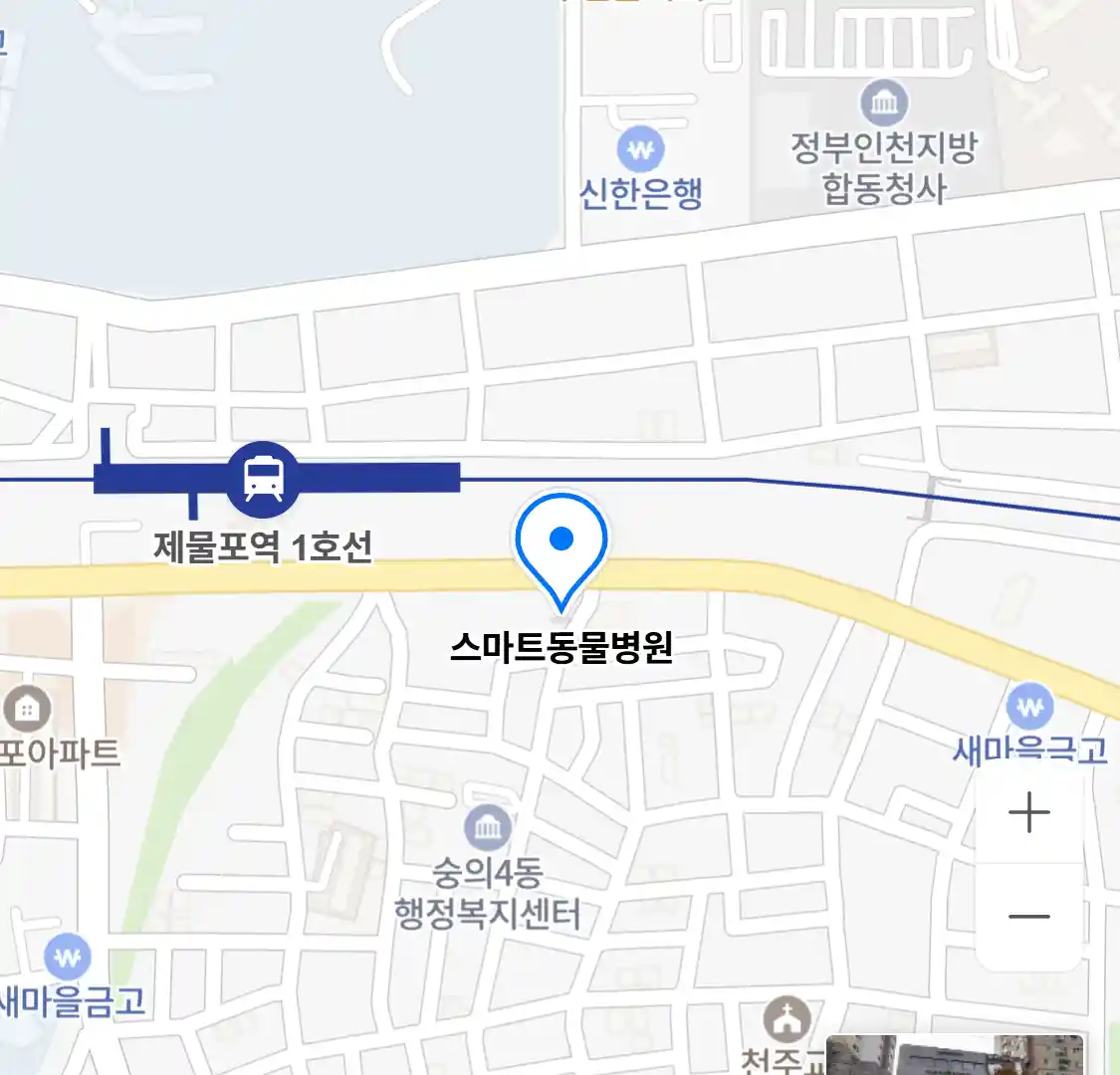 스마트동물병원