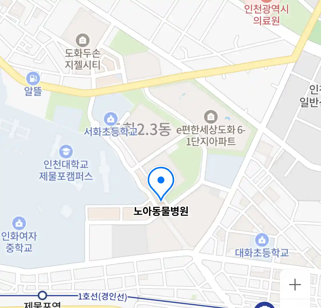노아동물병원
