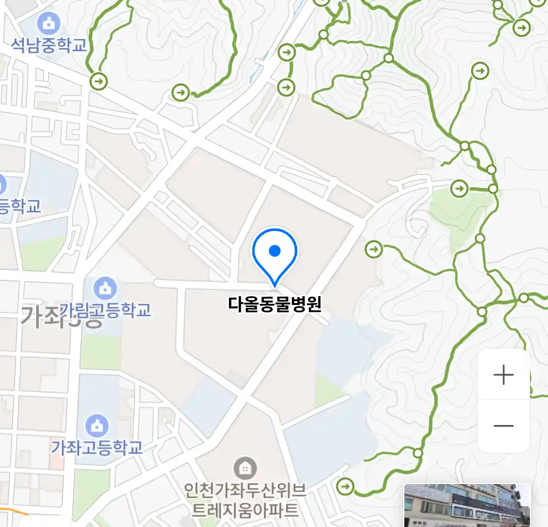 다올동물병원