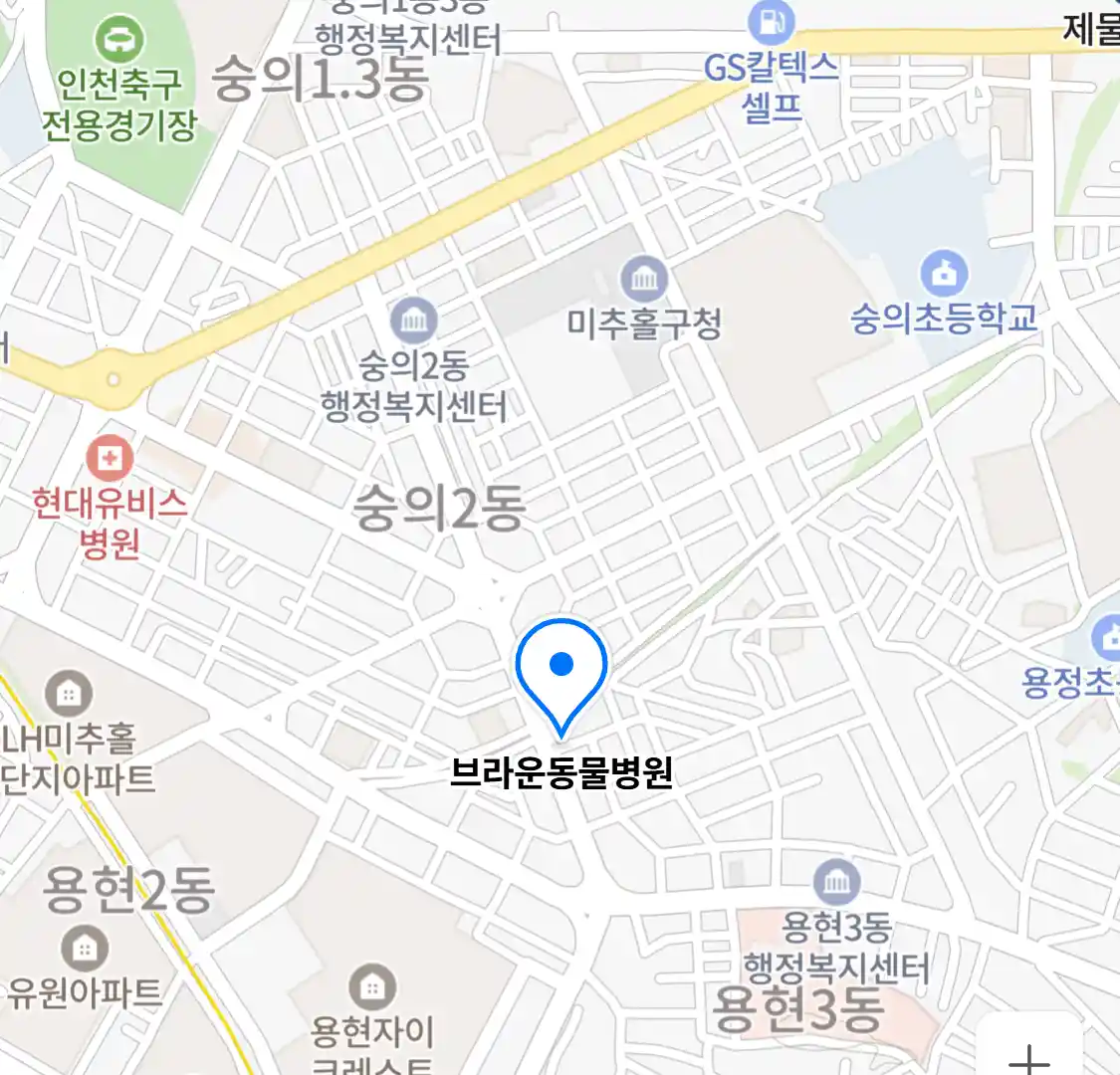 브라운동물병원