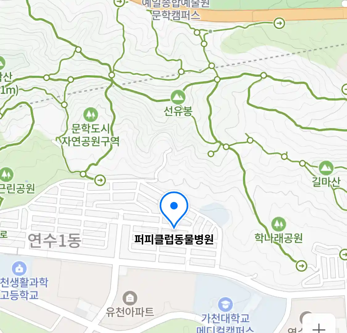 퍼피클럽동물병원