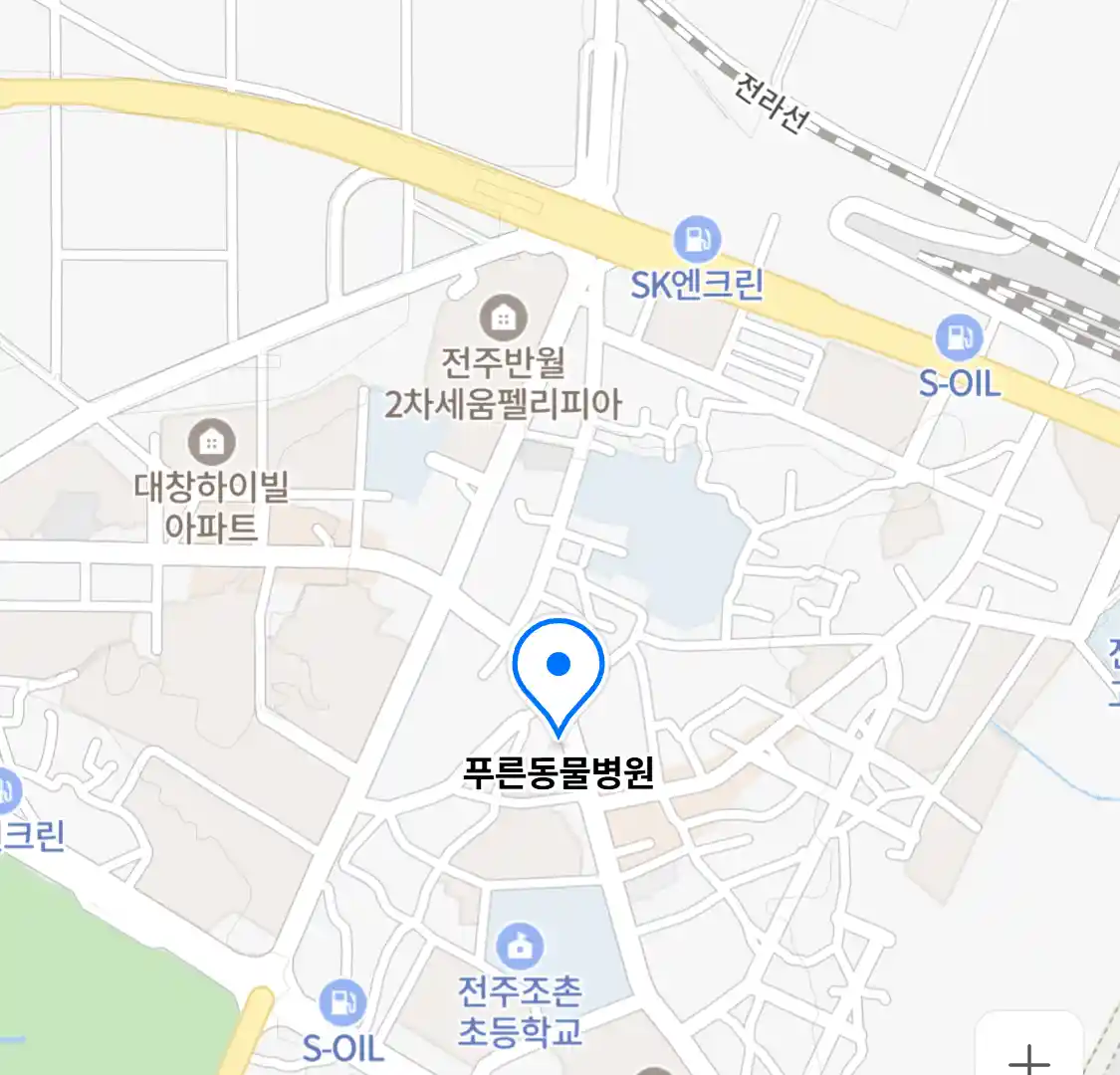 푸른동물병원