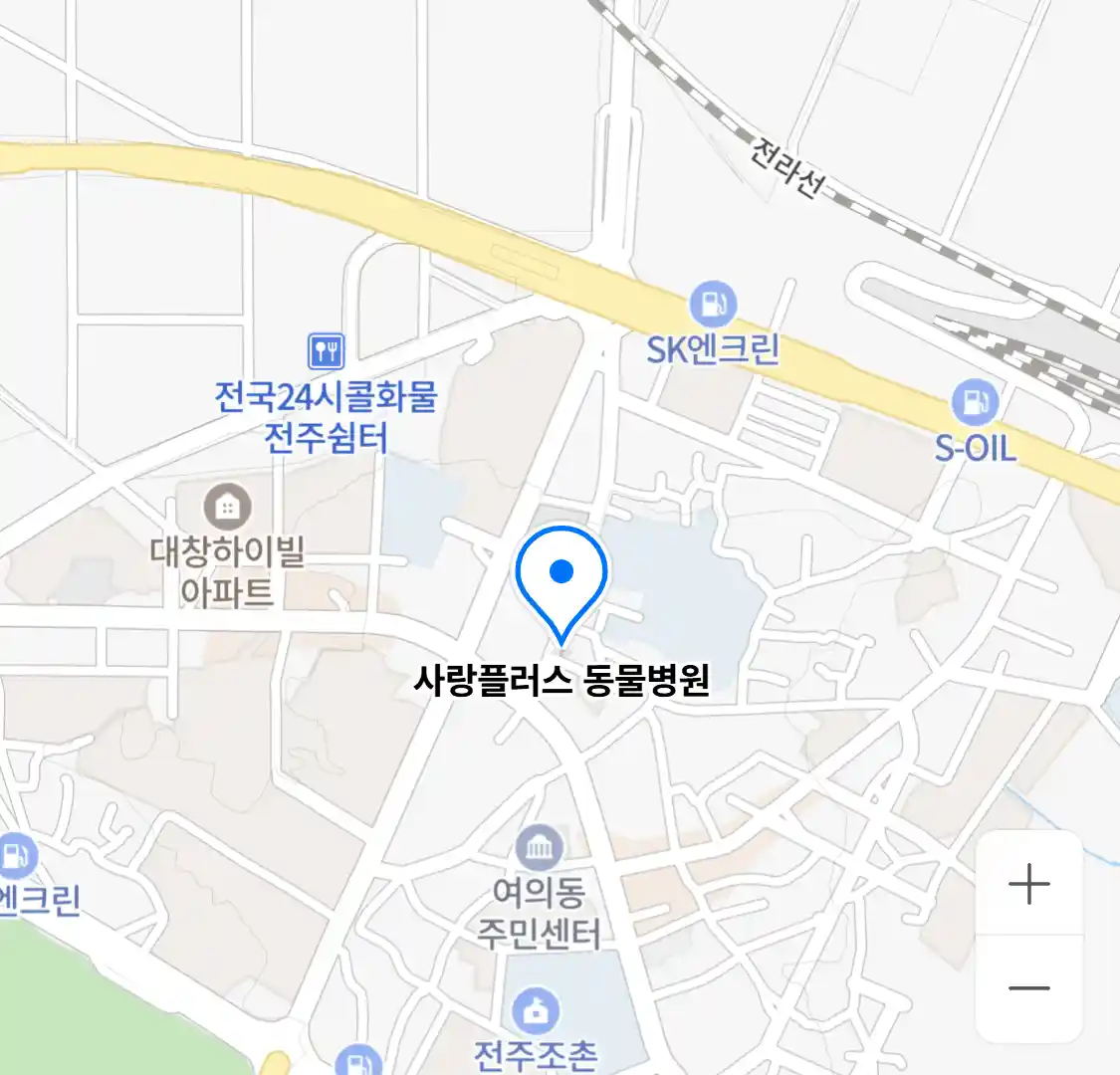 사랑플러스 동물병원