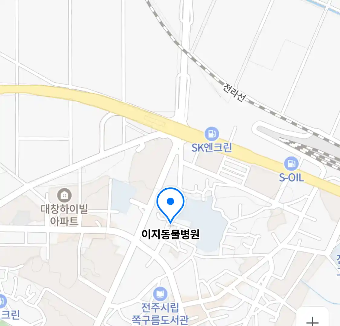 이지동물병원