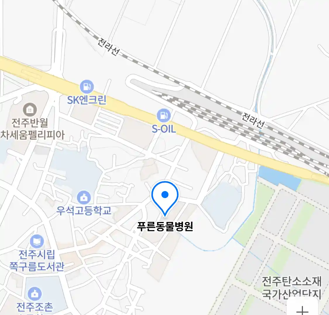 푸른동물병원