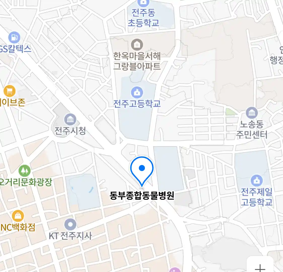 동부종합동물병원