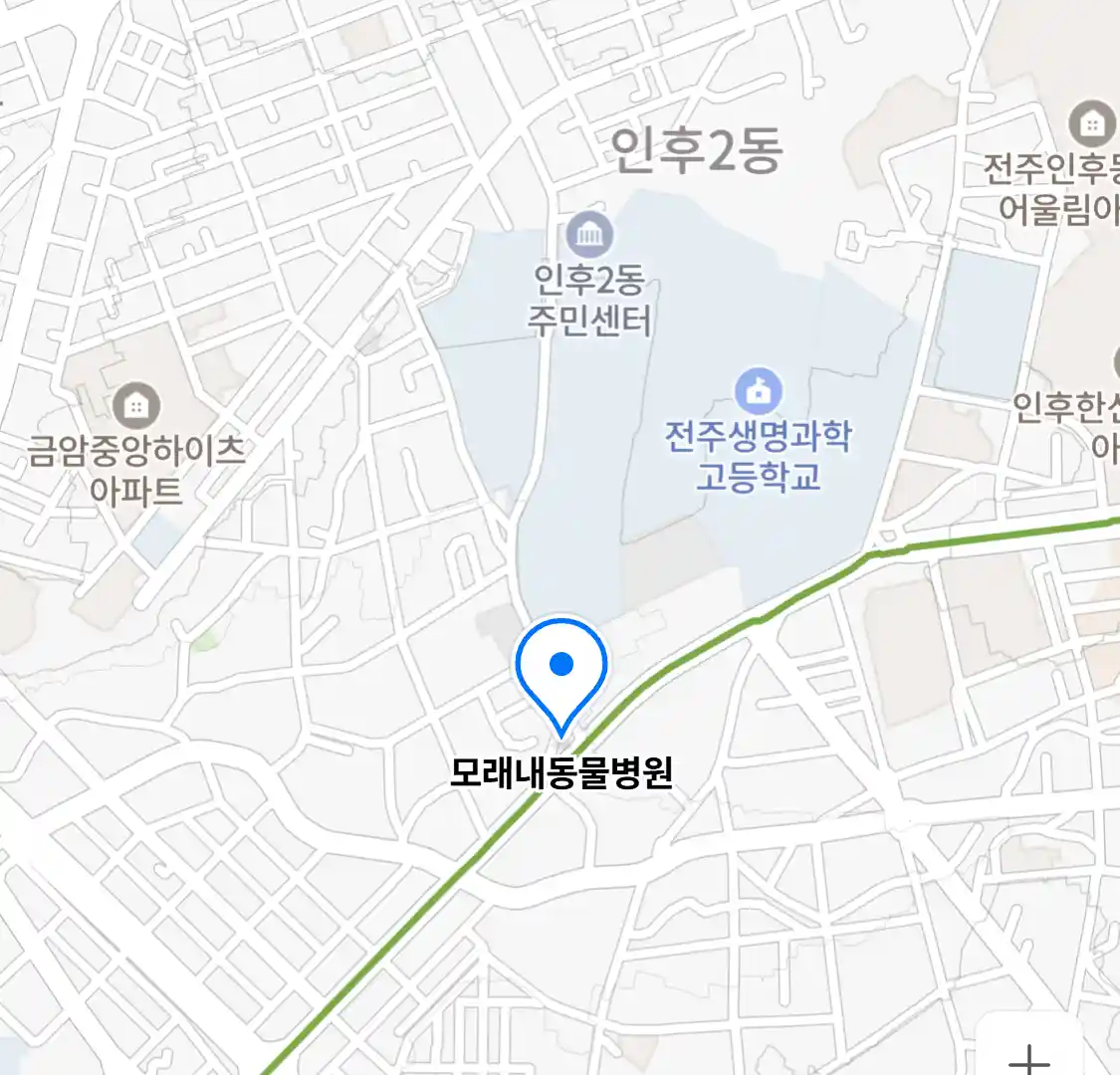 모래내동물병원