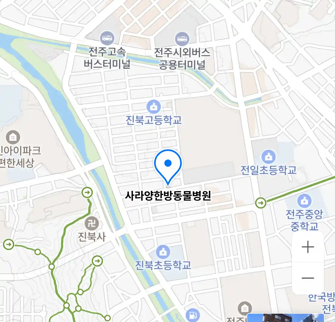 사라양한방동물병원