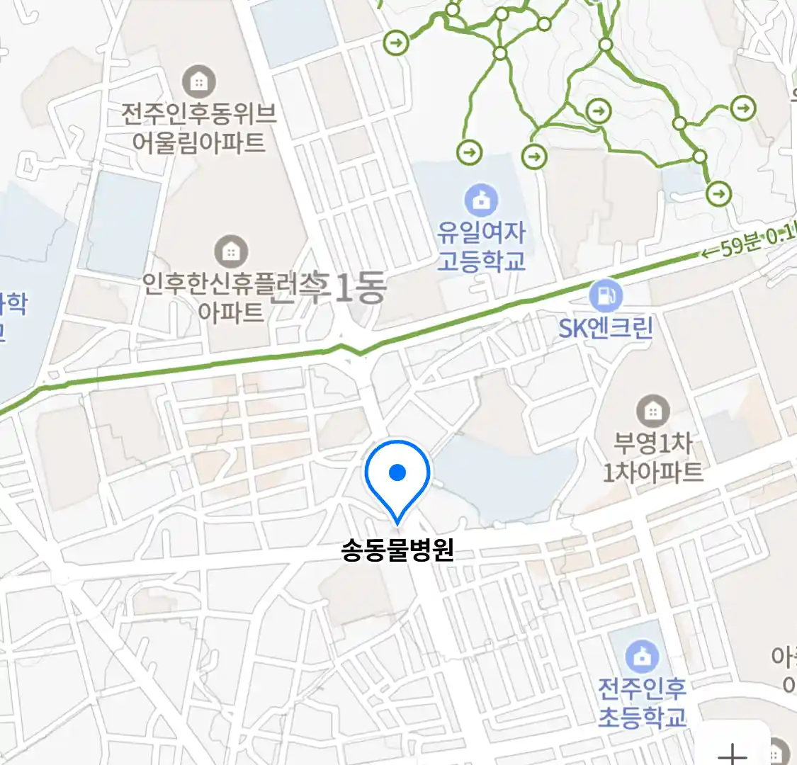 송동물병원