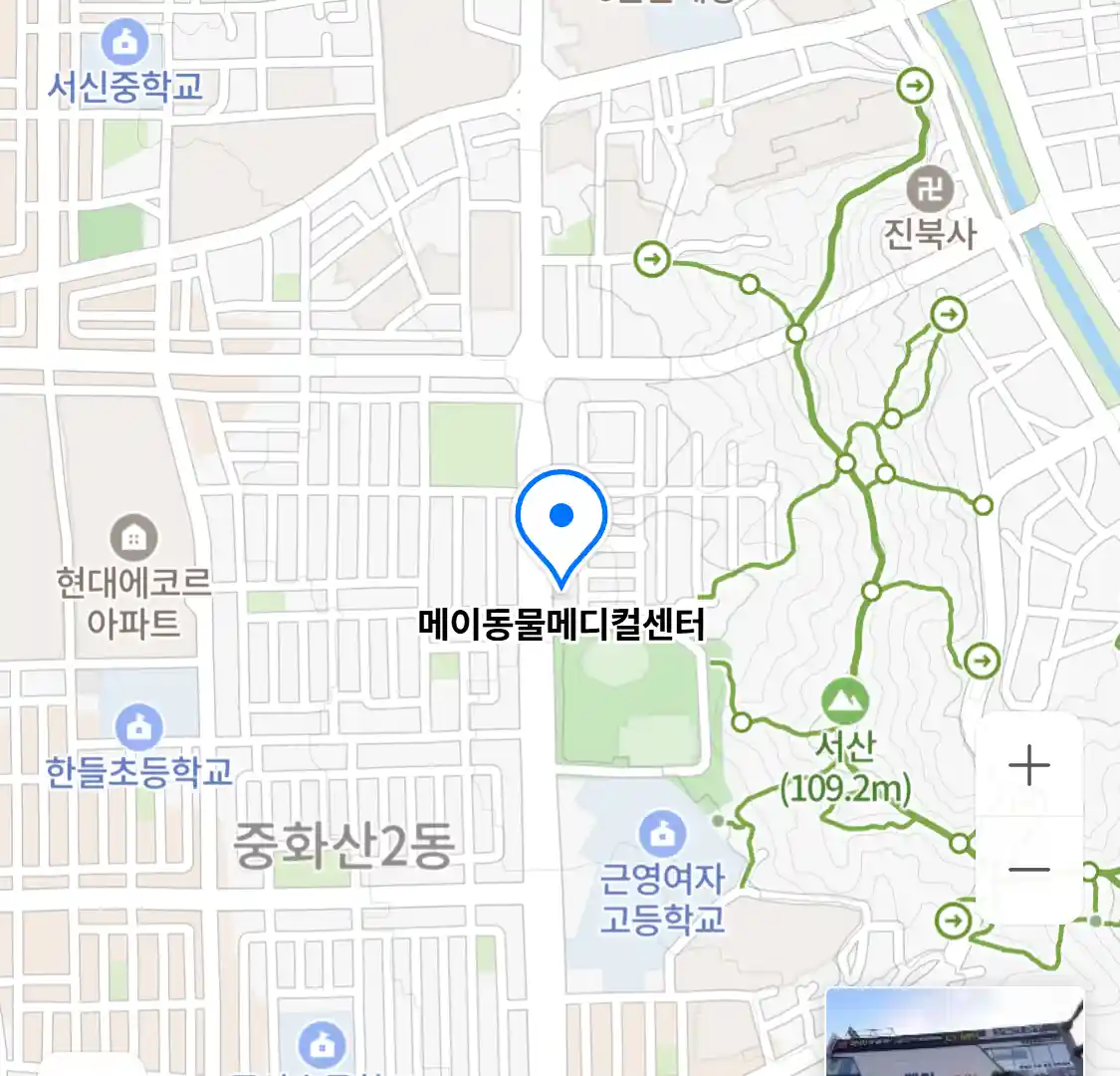메이동물메디컬센터