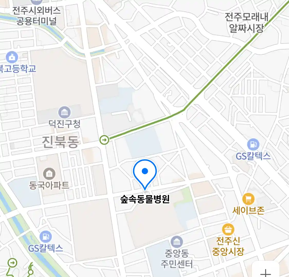숲속동물병원