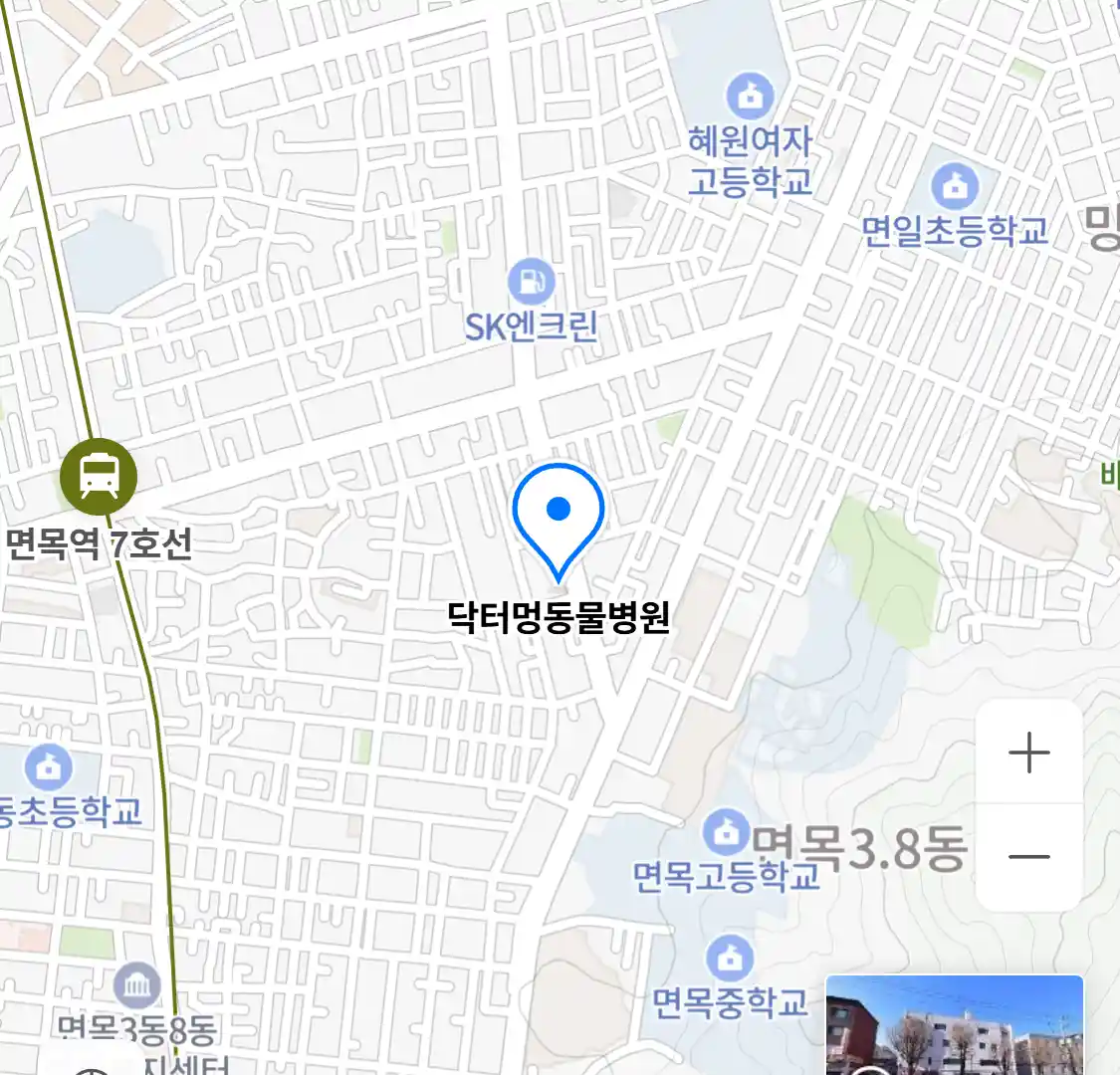 닥터멍동물병원