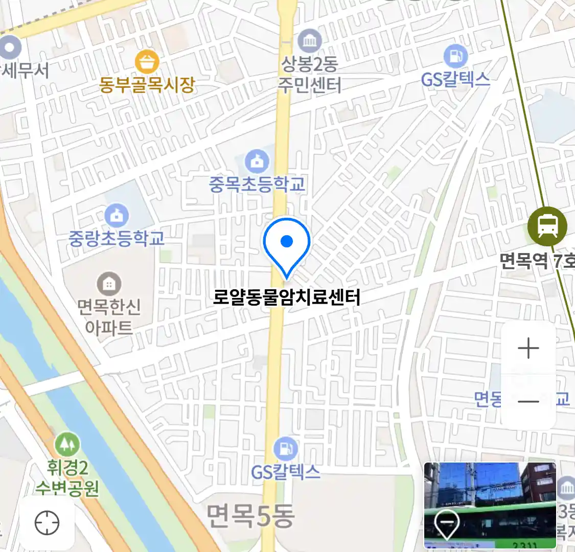 로얄동물암치료센터