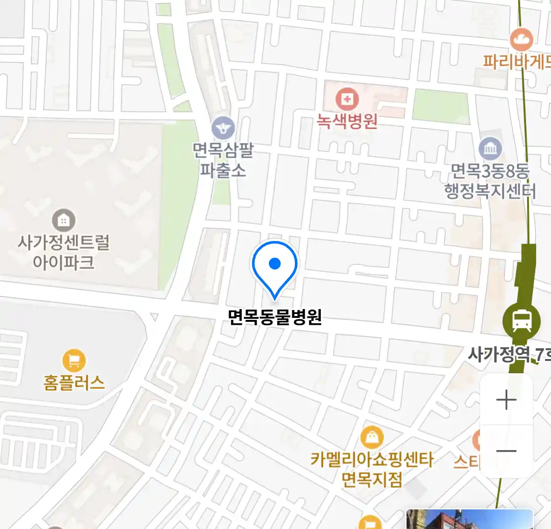 면목동물병원