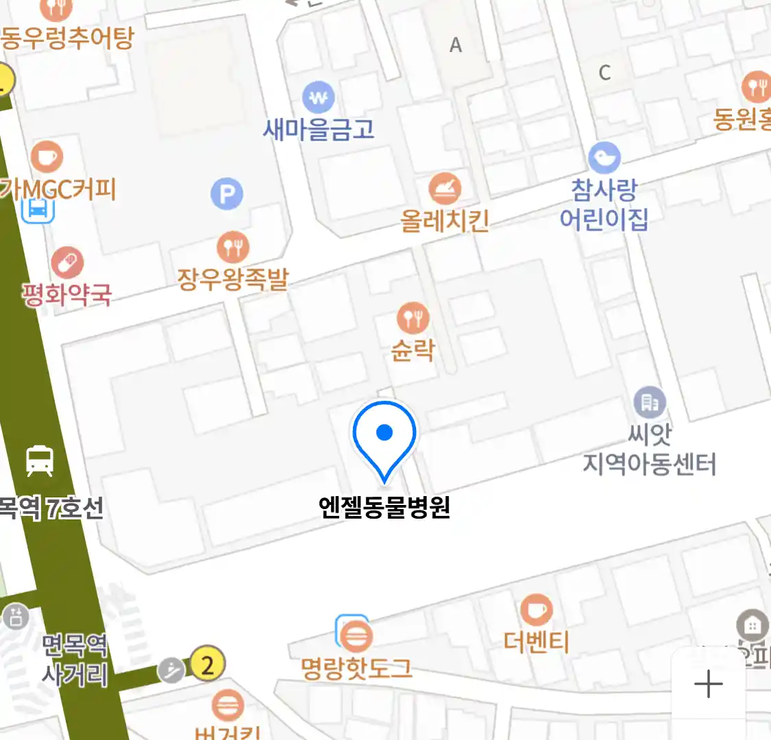 엔젤동물병원