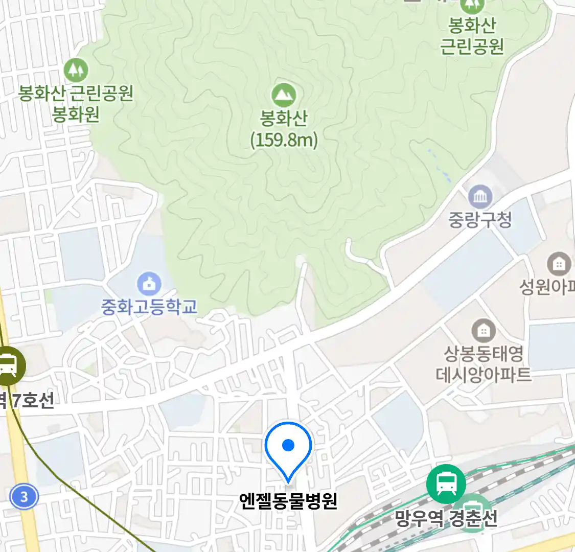 엔젤동물병원