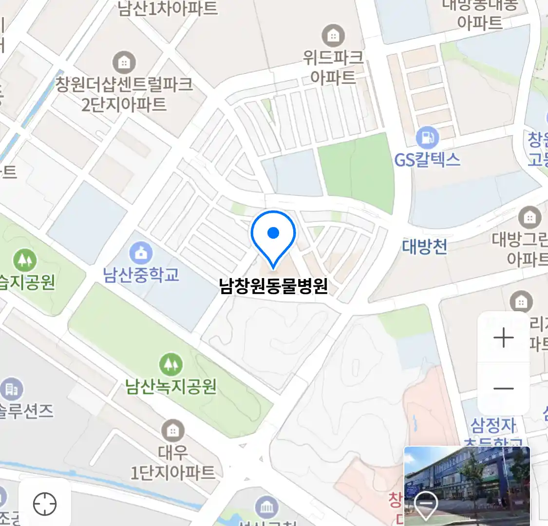 남창원동물병원
