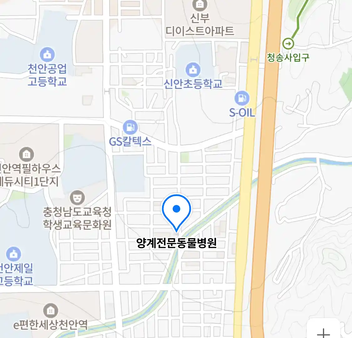 양계전문동물병원