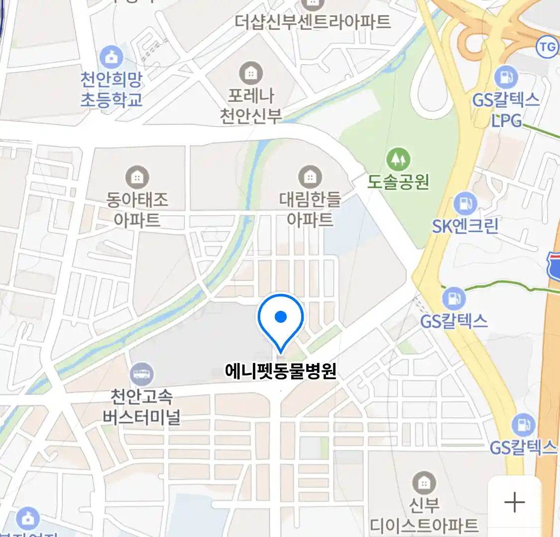 에니펫동물병원