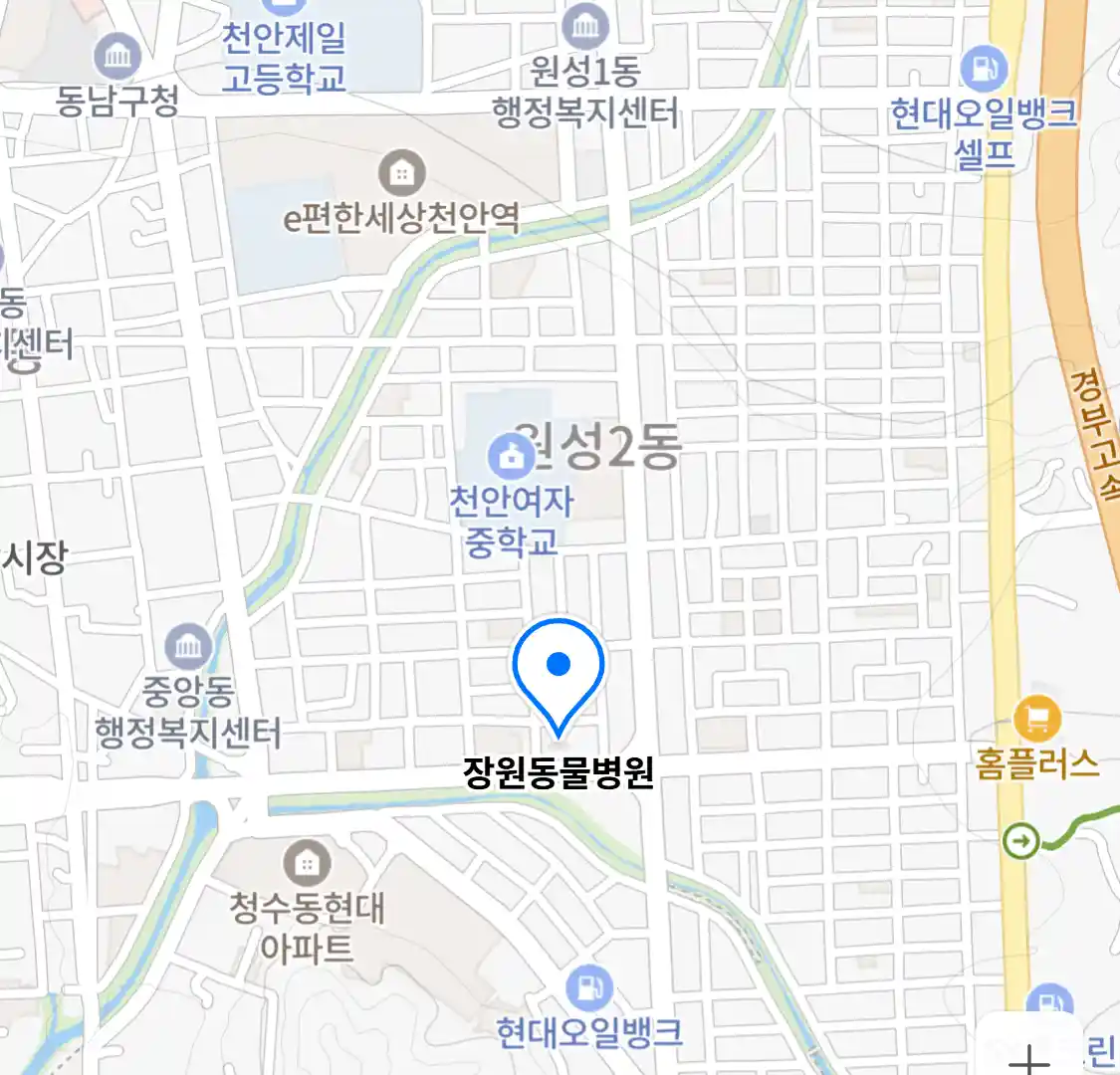 장원동물병원