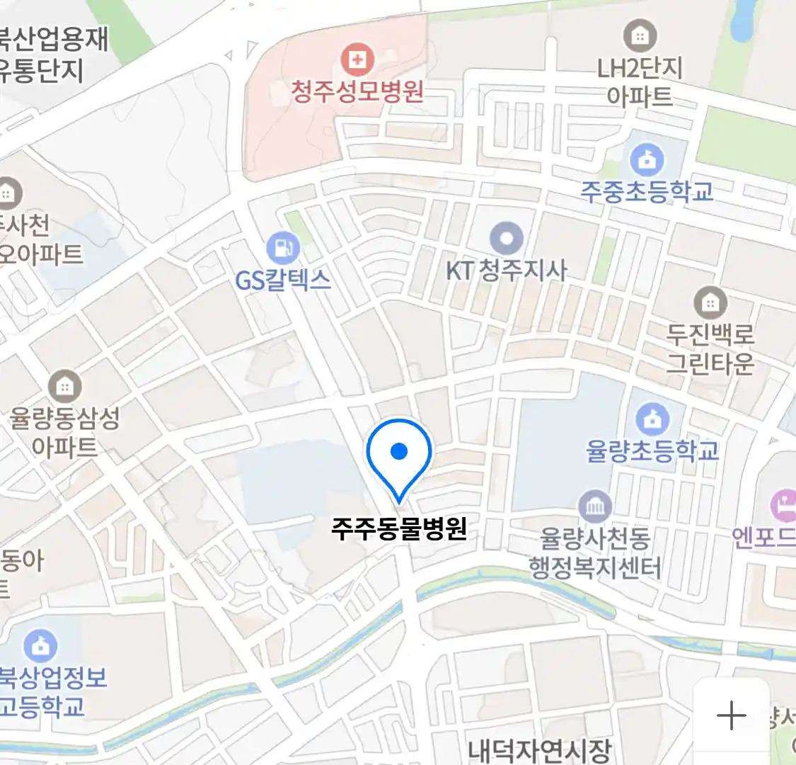 주주동물병원