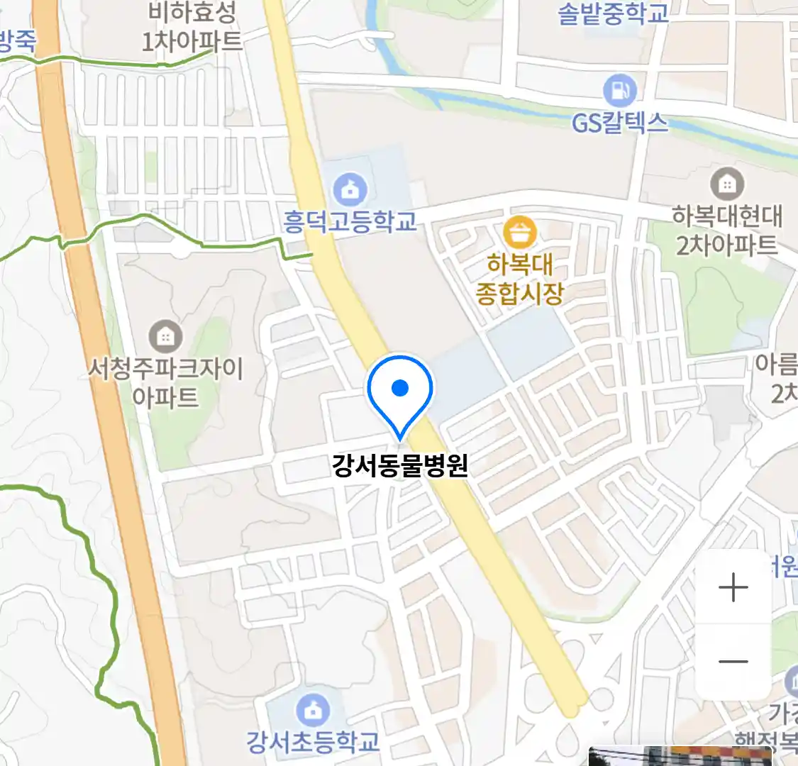 강서동물병원
