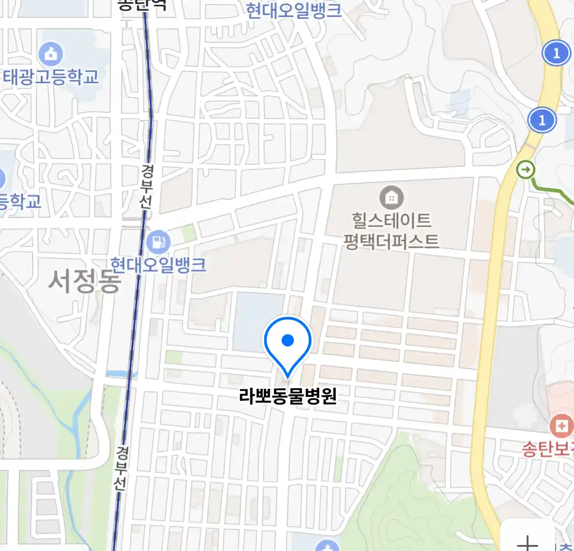 라뽀동물병원