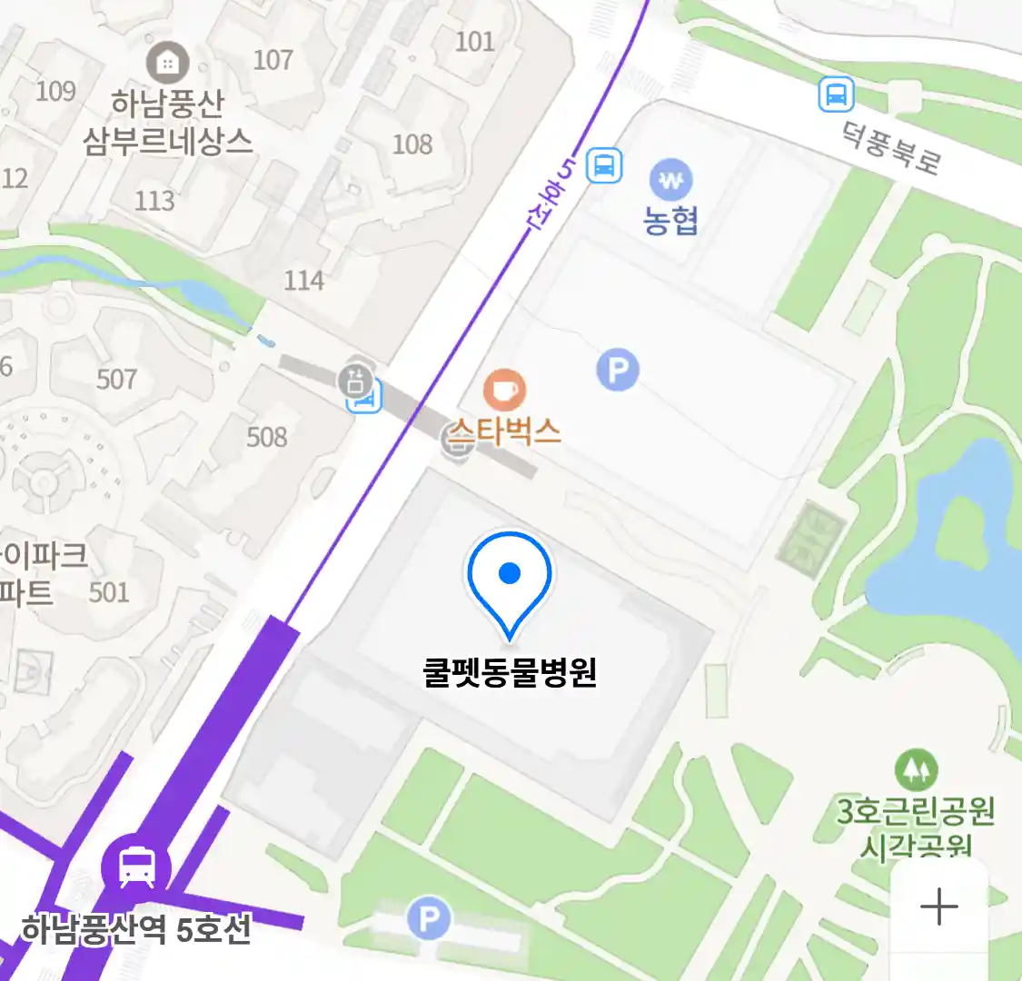 쿨펫동물병원