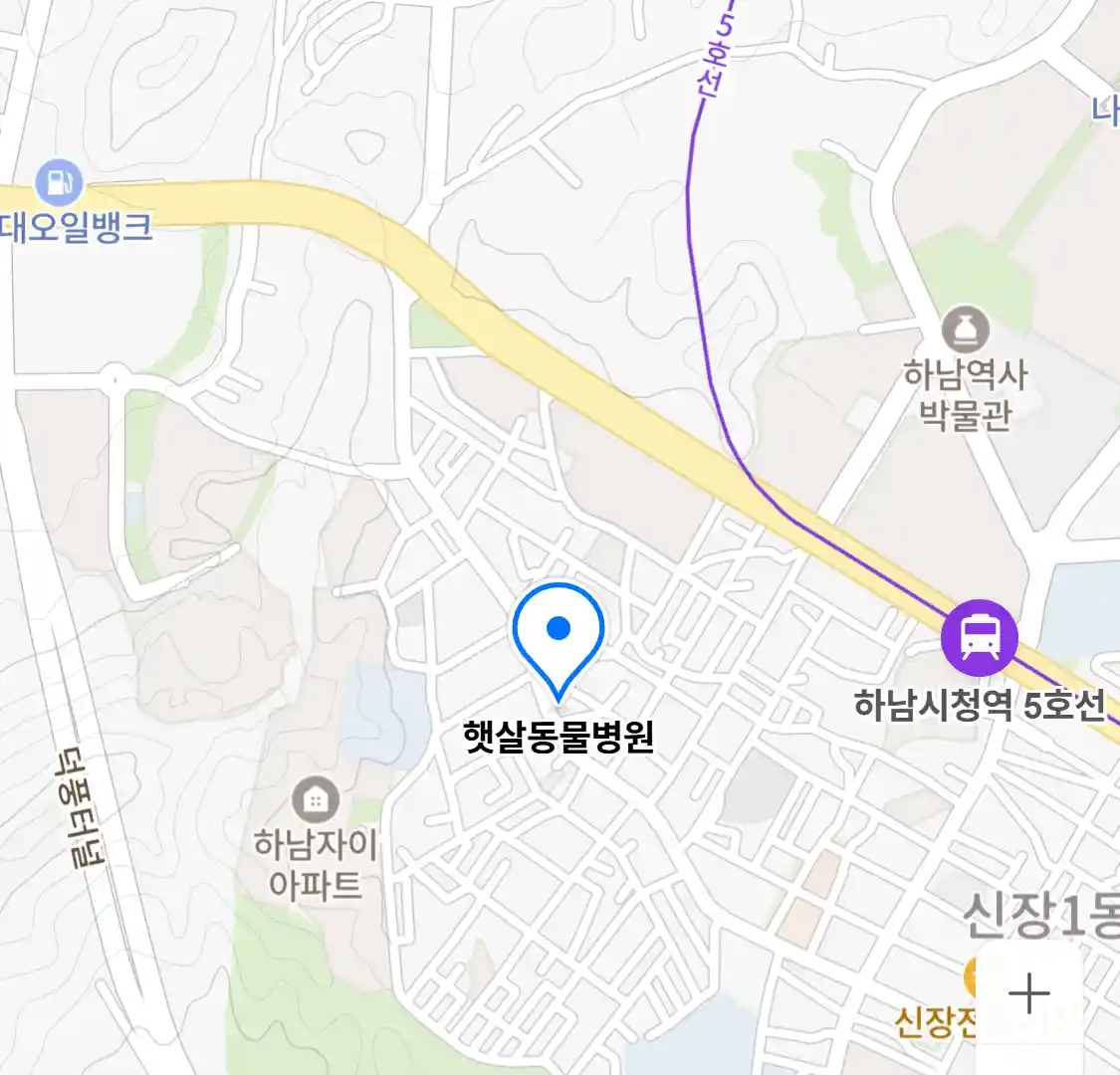 햇살동물병원