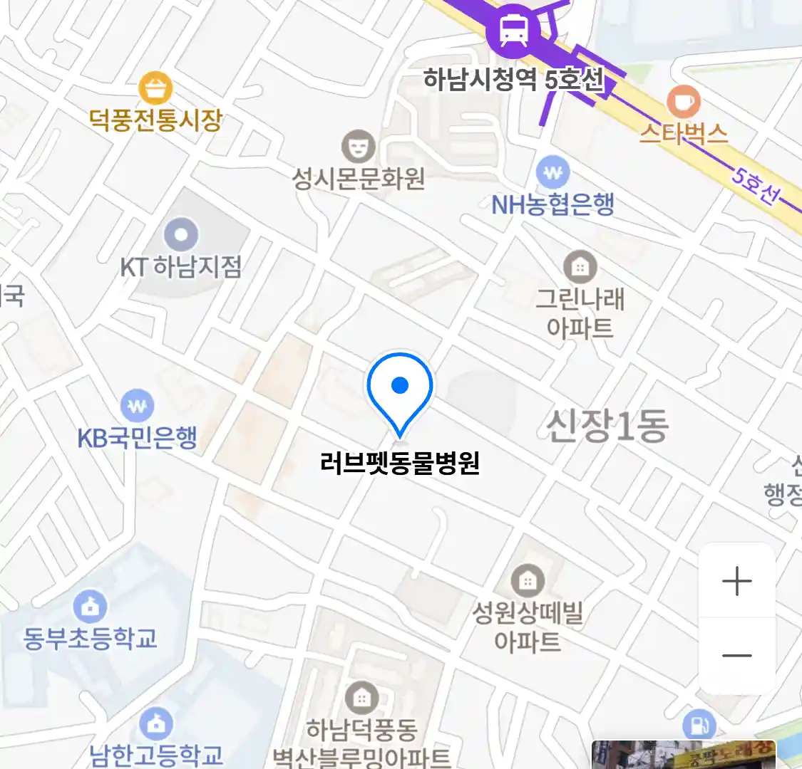 러브펫동물병원