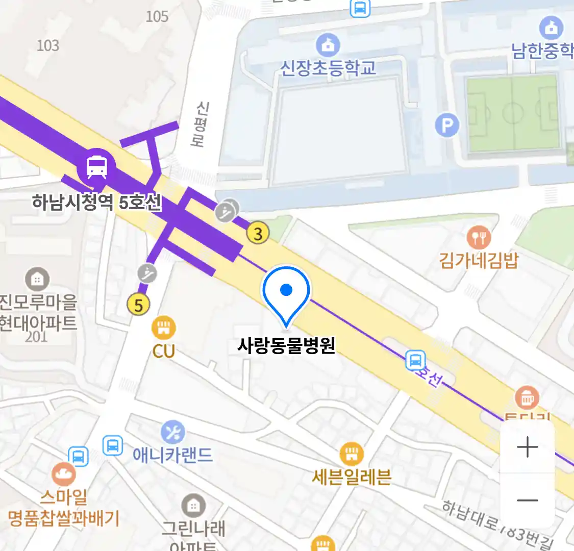 사랑동물병원