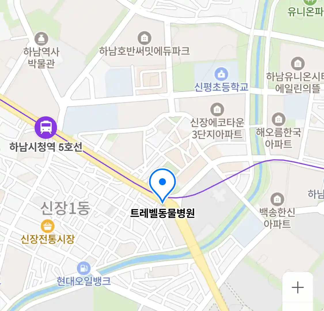 트레벨동물병원