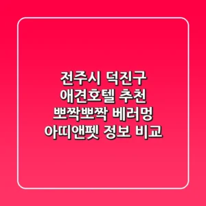 전주시 덕진구 애견호텔 추천: 뽀짝뽀짝, 베러멍, 아띠앤펫 정보 비교