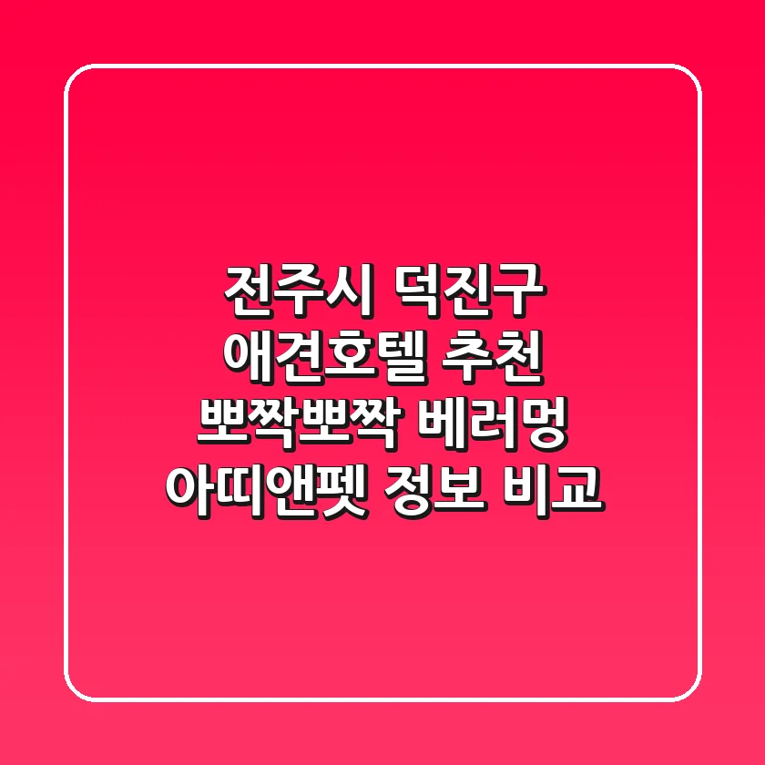 전주시 덕진구 애견호텔 추천: 뽀짝뽀짝, 베러멍, 아띠앤펫 정보 비교