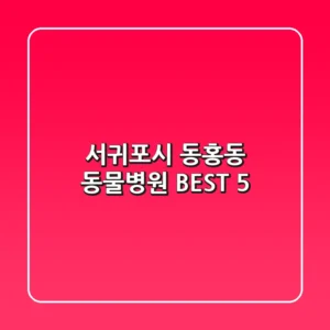 서귀포시 동홍동 동물병원 BEST 5