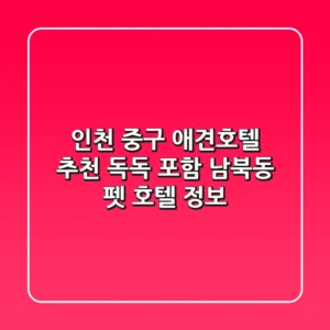 인천 중구 애견호텔 추천: 독독 포함 남북동 펫 호텔 정보