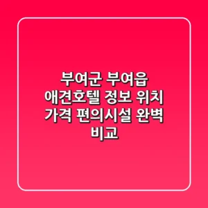 부여군 부여읍 애견호텔 정보: 위치, 가격, 편의시설 완벽 비교